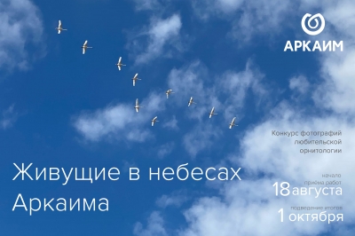 Аркаим запускает первый на Южном Урале фотоконкурс бёрдвотчинга